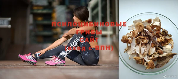 гидропоника Бородино