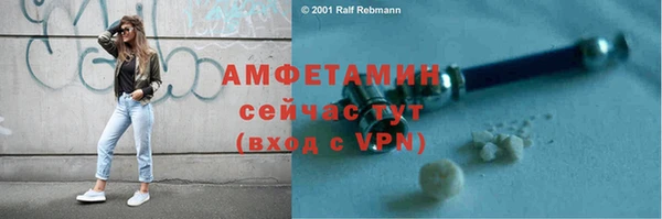 гидропоника Бородино