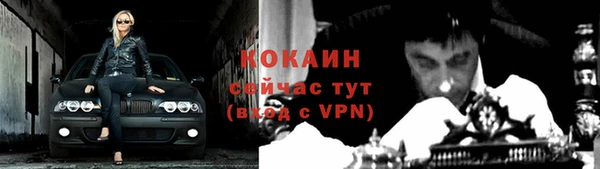 гидропоника Бородино