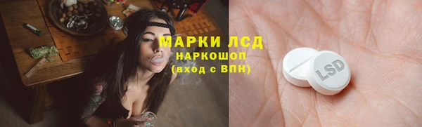 гидропоника Бородино