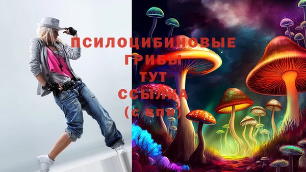 скорость Бронницы