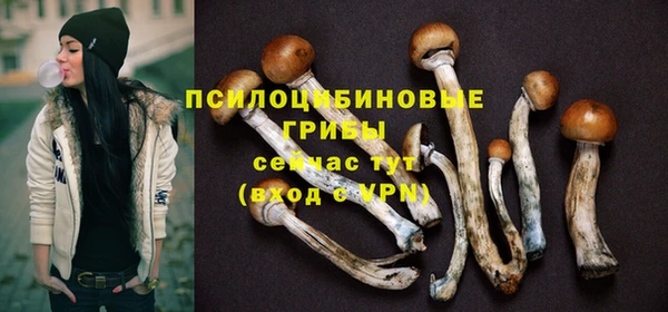 скорость Бронницы